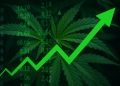Cannabis stocks surge as Trump signals shift on US marijuana policy