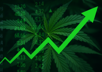 Cannabis stocks surge as Trump signals shift on US marijuana policy