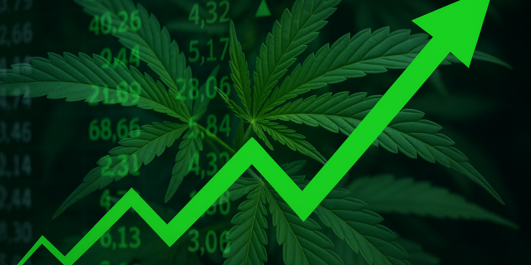 Cannabis stocks surge as Trump signals shift on US marijuana policy